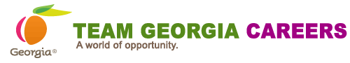 Team Georgia Careers logo and link